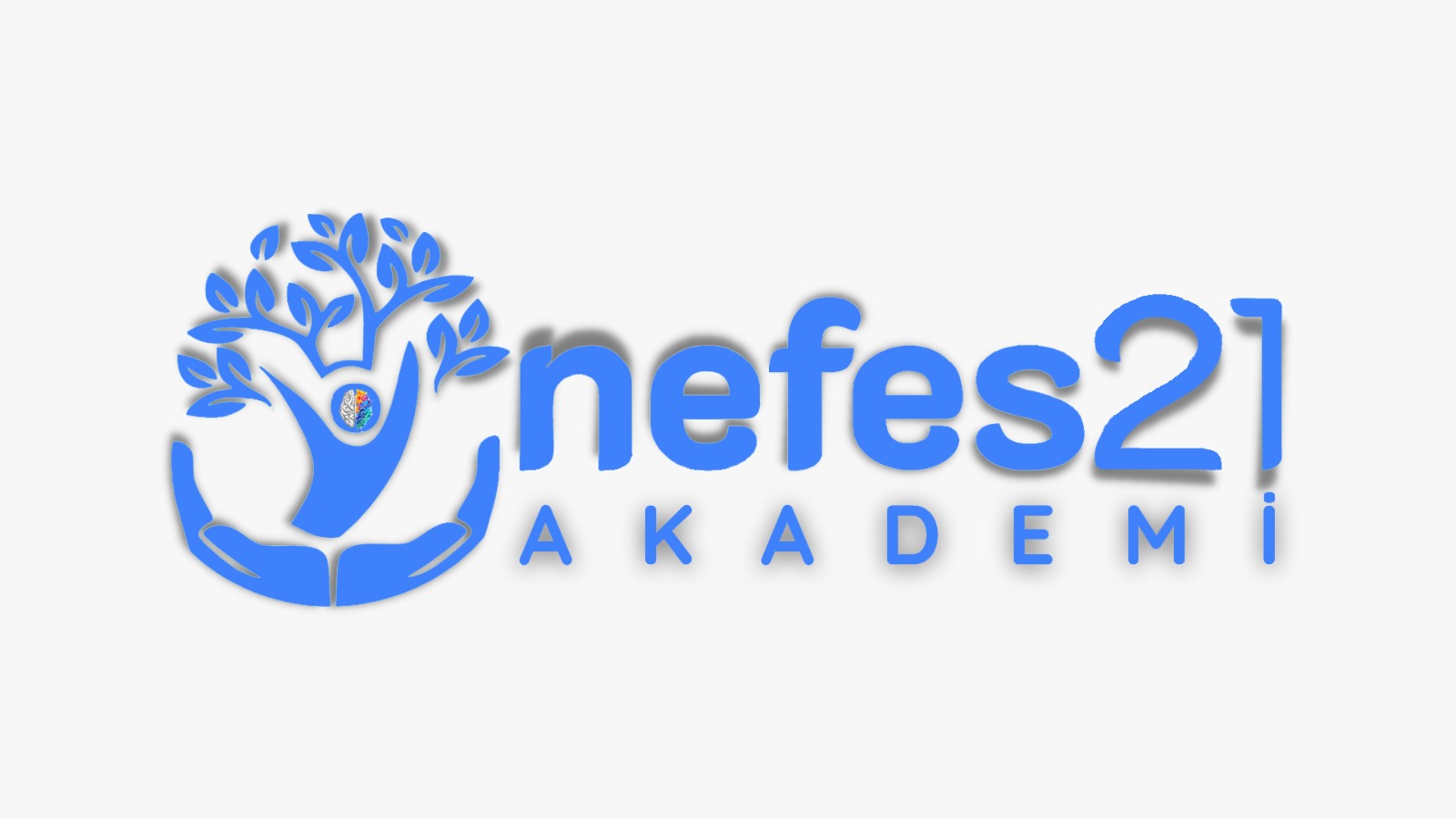 Nefes21 Academy